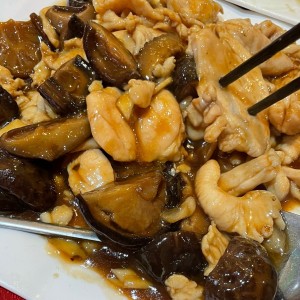 Filete de pollo con hongo chino