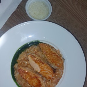 Pastas - Risotto Salmon