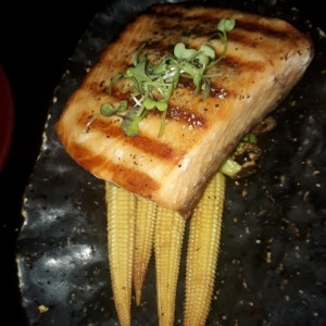 salmon 