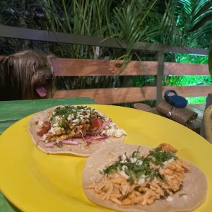 Tacos Tropicales - Pollo Pistolero y vegetariano