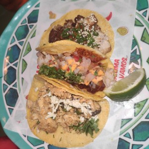 Tacos Tropicales - Pollo Pistolero - Gobernador 