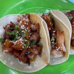 Tacos Tropicales - Panza