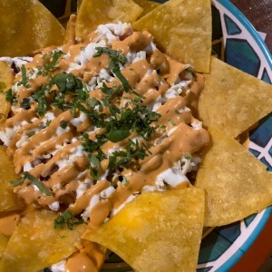 Nachos con pollo 