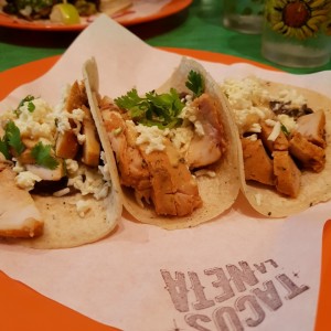 Tacos de pollo