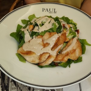 Ensalada cesar con pollo