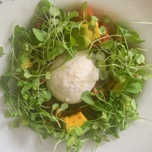 Salade de burrata 