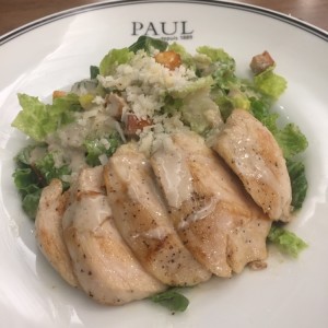 ensalada cesar con pollo