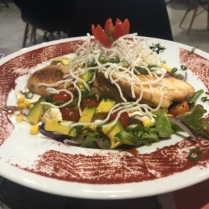 Frescas ensaladas - Teriyaki salad