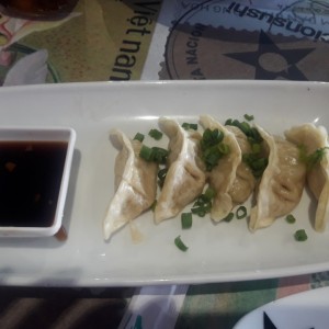 Tentadoras entradas - Gyozas de pollo