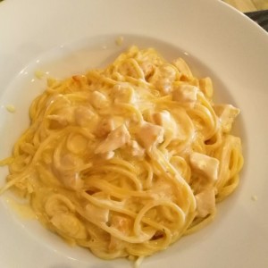 Spaghetti de pollo salsa blanca