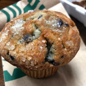 blue berry muffins