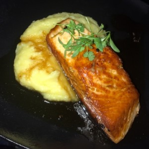 Salmon 