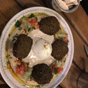 hummus falafel