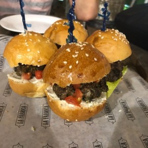 Sliders de la casa