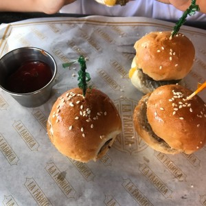 Sliders de la casa