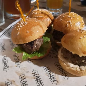 Sliders de la casa