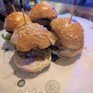 Sliders de la Casa