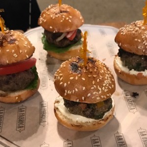 Sliders de la casa