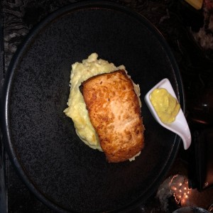 Salmon