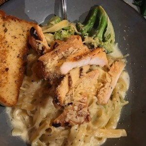 Alfredo chicken pasta