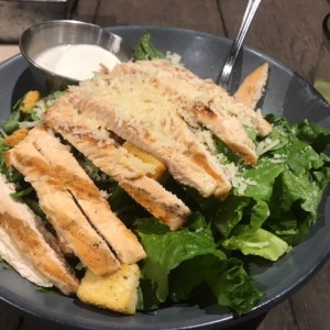 grilled ceasar salad