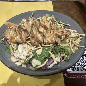 Oriental Chicken Salad Regular