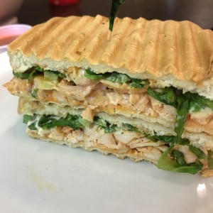 Panini Buffalo Blue Chiken