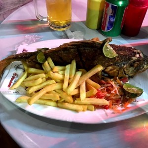 algo asi era mi expectativa pero la realidad es que la imagen pertenece a Restaurante El Marinero (mercado del marisco) donde me tuve que trasladar para disfrutar de un buen pargo dado que en este restaurante no tenian lo que decia el menu !!