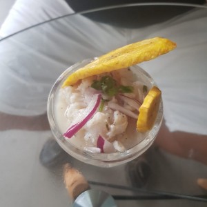 Platos Varios - Ceviche Tradicional peq.