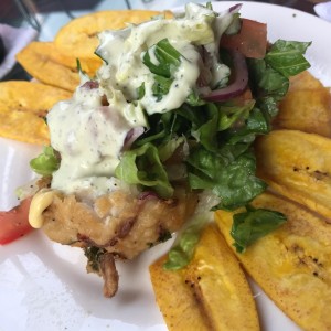 Platos Varios - Ceviche Frito