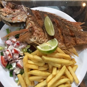 pargo frito 14.00