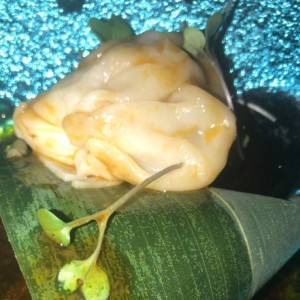 dumpling de langosta y carne 