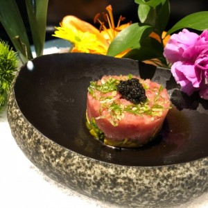 Entries - TORO TARTAR