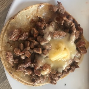 tortilla de filete con queso. en tortilla de maiz. 