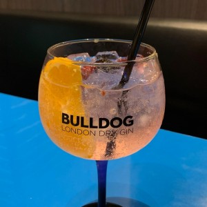 Bulldog Gin Tonic