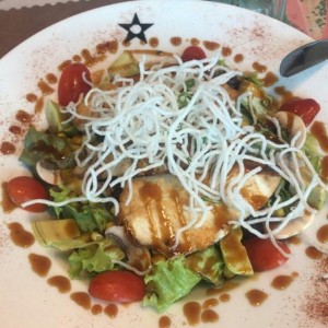 Frescas ensaladas - Teriyaki salad