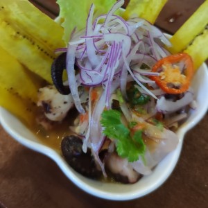 ceviche mixto