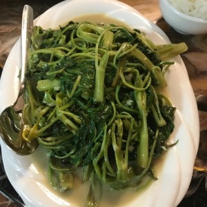 hoja unchoi