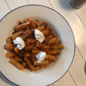 Pastas - Rigatoni Alla Norma