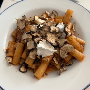 Pastas - Rigatoni Alla Norma