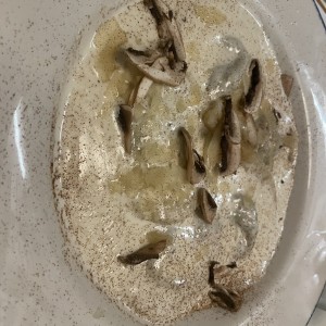 Pastas - Tortelloni Fungui Porcini