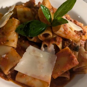 Pastas - Paccheri Alla Bolognesa