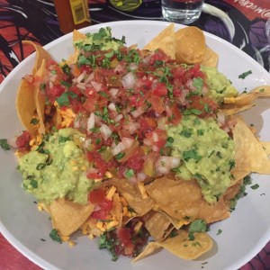 nacho vegano especial 