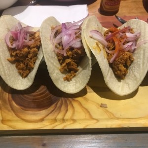 Taco Pibil