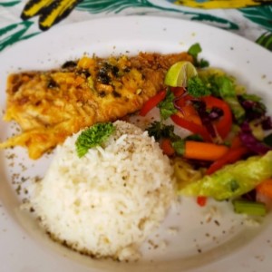 arroz blanco con pescado guisado