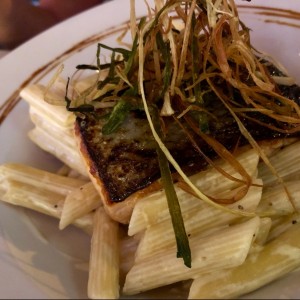 Salmon con Penne