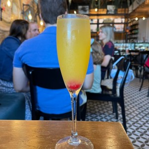 Mimosa