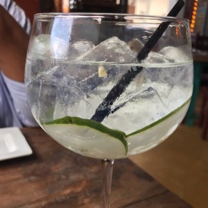 Gin Tonic