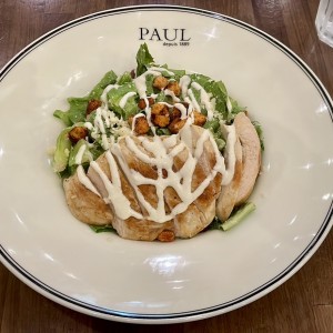 Salade Cesar au Poulet