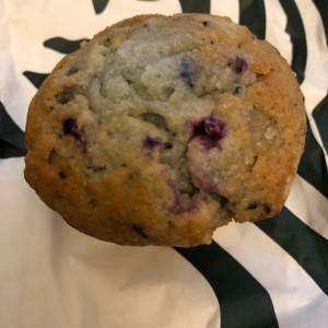 Pastry - Blueberry Muffin